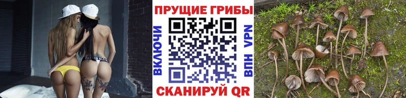 Псилоцибиновые грибы GOLDEN TEACHER  Миньяр 